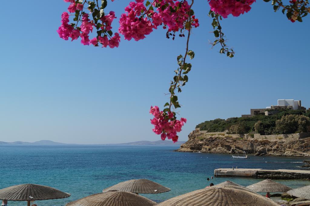Amazing View Hotel Apartments Agios Stefanos  Dış mekan fotoğraf